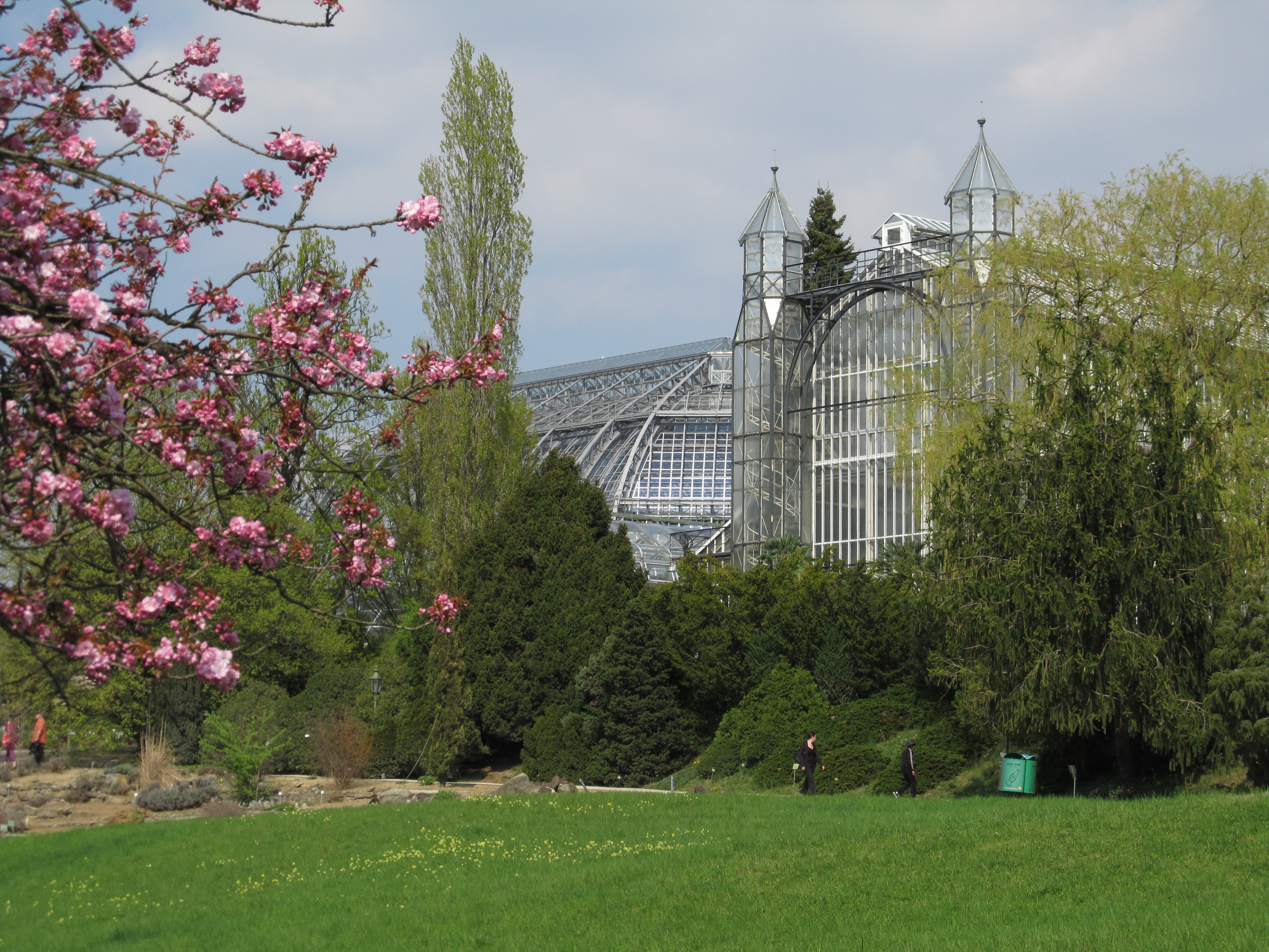 Frühling: Blick auf das Mittelmeergewächshaus Frühling: Blick auf das Mittelmeergewächshaus