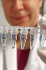 Von der DNA-Sequenz zur wissenschaftlichen Erkenntnis