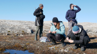 Aufsammlung von Proben am Kongsfjord Auf der Hut vor Eisbären: Die Aufsammlung von Proben am Kongsfjord auf Spitzbergen erfolgt unter strengen Sicherheitsvorkehrungen.
