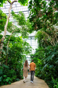 Paar im Großen Tropenhaus Paar im Großen Tropenhaus