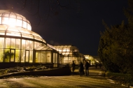 Nächtliche Gewächhäuser, Foto: K. Schomaker / Botanischer Garten und Botanisches Museum Berlin Nächtliche Gewächhäuser, Foto: K. Schomaker / Botanischer Garten und Botanisches Museum Berlin
