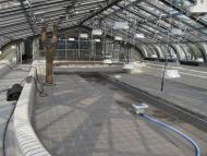Victoriahaus im Botanischen Garten Berlin, August 2015. Foto: G. Hohlstein, Botanischer Garten und Botanisches Museum Berlin Victoriahaus im Botanischen Garten Berlin, August 2015. Foto: G. Hohlstein, Botanischer Garten und Botanisches Museum Berlin