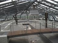 Victoriahaus im Botanischen Garten Berlin, August 2015. Foto: G. Hohlstein / Botanischer Garten und Botanisches Museum Berlin Victoriahaus im Botanischen Garten Berlin, August 2015. Foto: G. Hohlstein / Botanischer Garten und Botanisches Museum Berlin