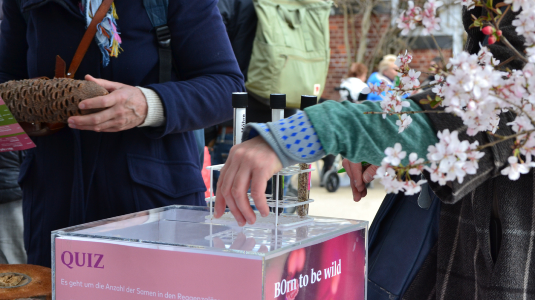 Quiz-Box am Staudenmarkt