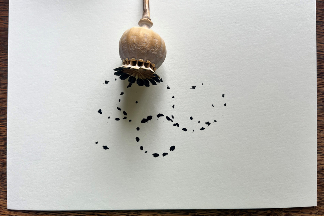 <p>Kalligraphie mit Pflanzen</p>